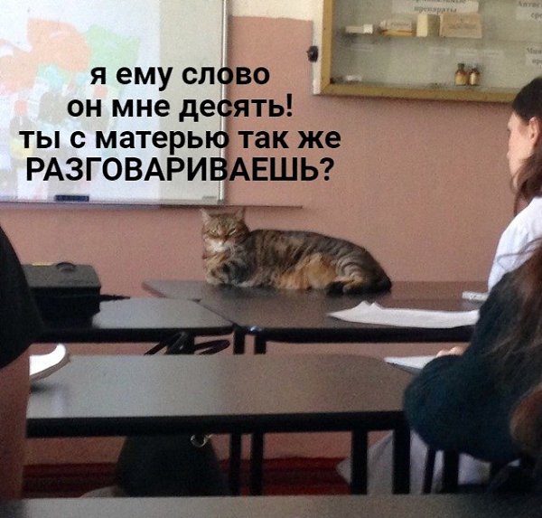 А учителей где-то специально готовят говорить эти фразы в школе, да? - 6