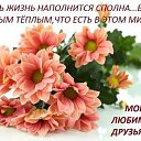 ���� �������@, �������� - ��������� 22 ������� 2019 � ������ ������ ��������
