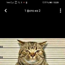 ���� ����, �����, 50 ��� - ��������� 18 ������ 2019