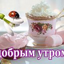 ���� �������, ������, 48 ��� - ��������� 5 ������� 2019 � ������ ���� ����������