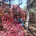 ���� �������, �����������, 62 ���� - ��������� 30 ������� 2019 � ������ ���� ����������