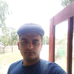 �������, �������, 34 ����