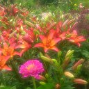 ���� �������, ������, 68 ��� - ��������� 17 ���� 2019 � ������ �2019�