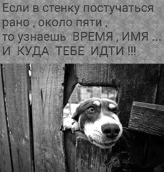������ - 2 ������� 2019 � 23:27