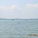 ���� Aru, �������� - ��������� 29 ������ 2019 � ������ �Goa, India�