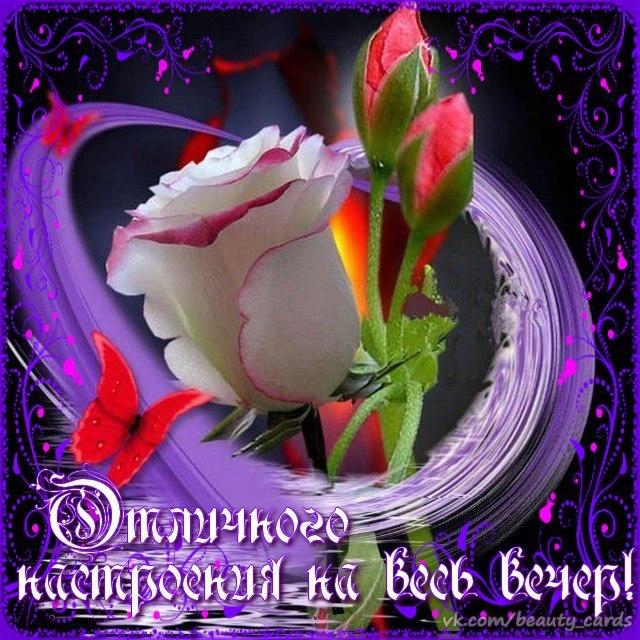 ����������� � ���������, �������� �� ������ ����. - 14 ������� 2019 � 17:34