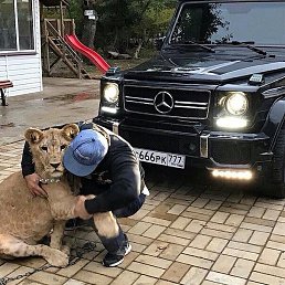 ���� �����, ������, 38 ��� - ��������� 17 ������ 2019