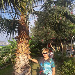 ���� ������, ���������, 60 ��� - ��������� 4 ������ 2019