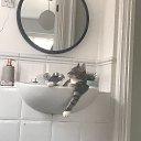 ���� ��� �����..., ������ - ��������� 12 ������ 2019 � ������ ������ ��������