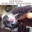 ���� ]{() � � -�]{ @, ������-��-���� - ��������� 22 ������� 2019 � ������ ���� ����������