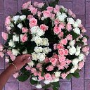 ���� ����������, ����������� - ��������� 2 ������� 2019 � ������ ������ ��������