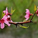 ���� ������ ������ ���������, ������� - ��������� 7 ��� 2019 � ������ ���� ����������