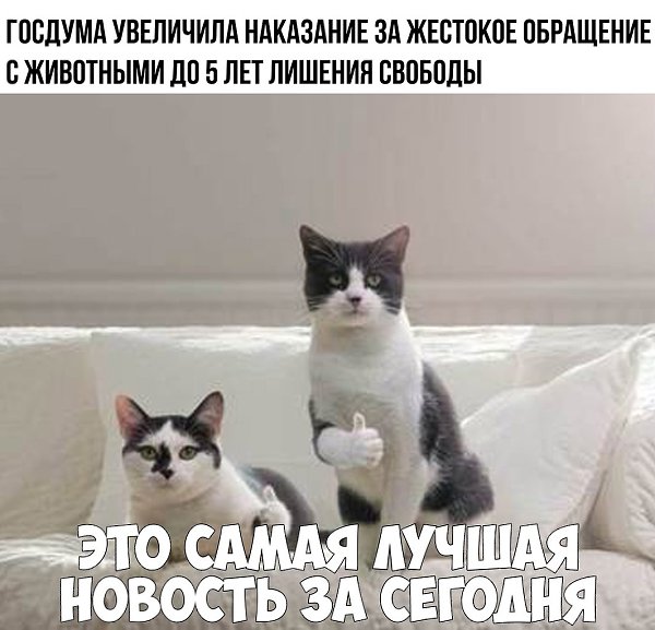    :D - 7  2019  19:08