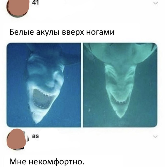   !)