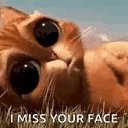 ���� ������, ������ ��������, 51 ��� - ��������� 22 ������� 2019 � ������ ���� ����������