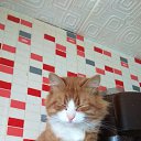 ���� �����., ������, 57 ��� - ��������� 25 ������� 2019 � ������ ������ ��������