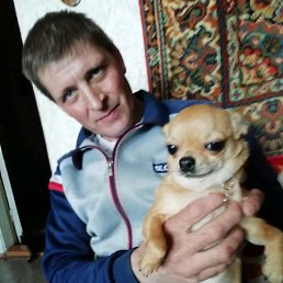 ���� �������, ���������, 54 ���� - ��������� 4 ������� 2019