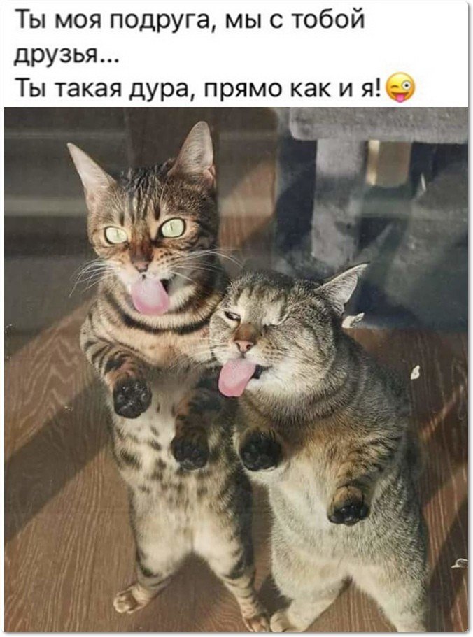  - 16  2019  01:05