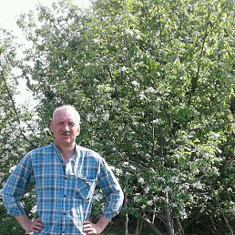 ��������, ������������, 59 ���