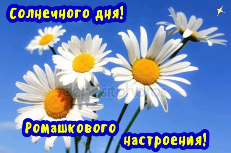   ,    . - 8  2019  14:22