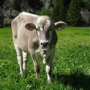 ����� ...!!! �� ������� �����ۻ