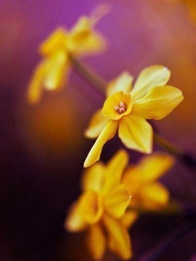  ))).-   ,   .    ... - 2