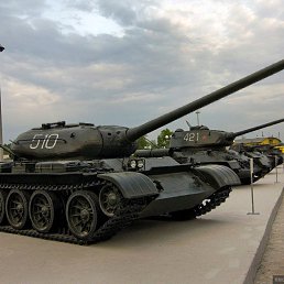 �����, ����-���������, 38 ���