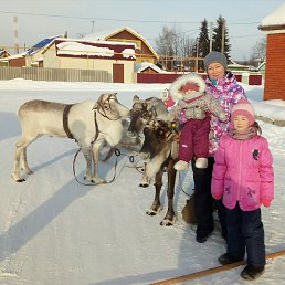 ��������, ������, 49 ���