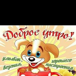 ���� �., ������������, 43 ���� - ��������� 12 �������� 2019