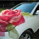 ���� �����, ������������ - ��������� 10 ���� 2019 � ������ ������ ��������