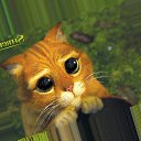 ���� �������, ������, 49 ��� - ��������� 2 ������� 2019 � ������ ���� ����������
