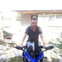 , 40, 