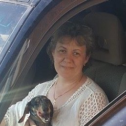 �������, ����������, 52 ����