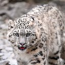 ���� ���������, ������, 44 ���� - ��������� 6 ������� 2019