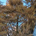  , , 50  -  9  2019    2019