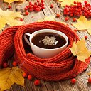 ���� ��������, �������� - ��������� 24 �������� 2019 � ������ ������ ��������