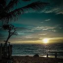 ���� ������, ���������, 46 ��� - ��������� 20 ������ 2019