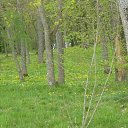 ���� ����, ����������� - ��������� 9 ���� 2019 � ������ ���� ����������