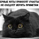 ���� ������, �����-���������, 41 ��� - ��������� 7 ������� 2019 � ������ ������ ��������