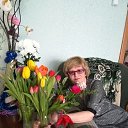 ���� ���������, ������ - ��������� 5 ������ 2019 � ������ ���� ����������