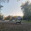  , , 50  -  4  2019   3.10.2019 