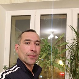 ���� ������, �����, 40 ��� - ��������� 10 ������ 2019