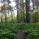 ���� �����, �����-��������� - ��������� 3 ������ 2019 � ������ ���� ����������