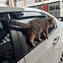 ���� ����, �����-���������, 55 ��� - ��������� 3 ��� 2019 � ������ ����� ������ ����������