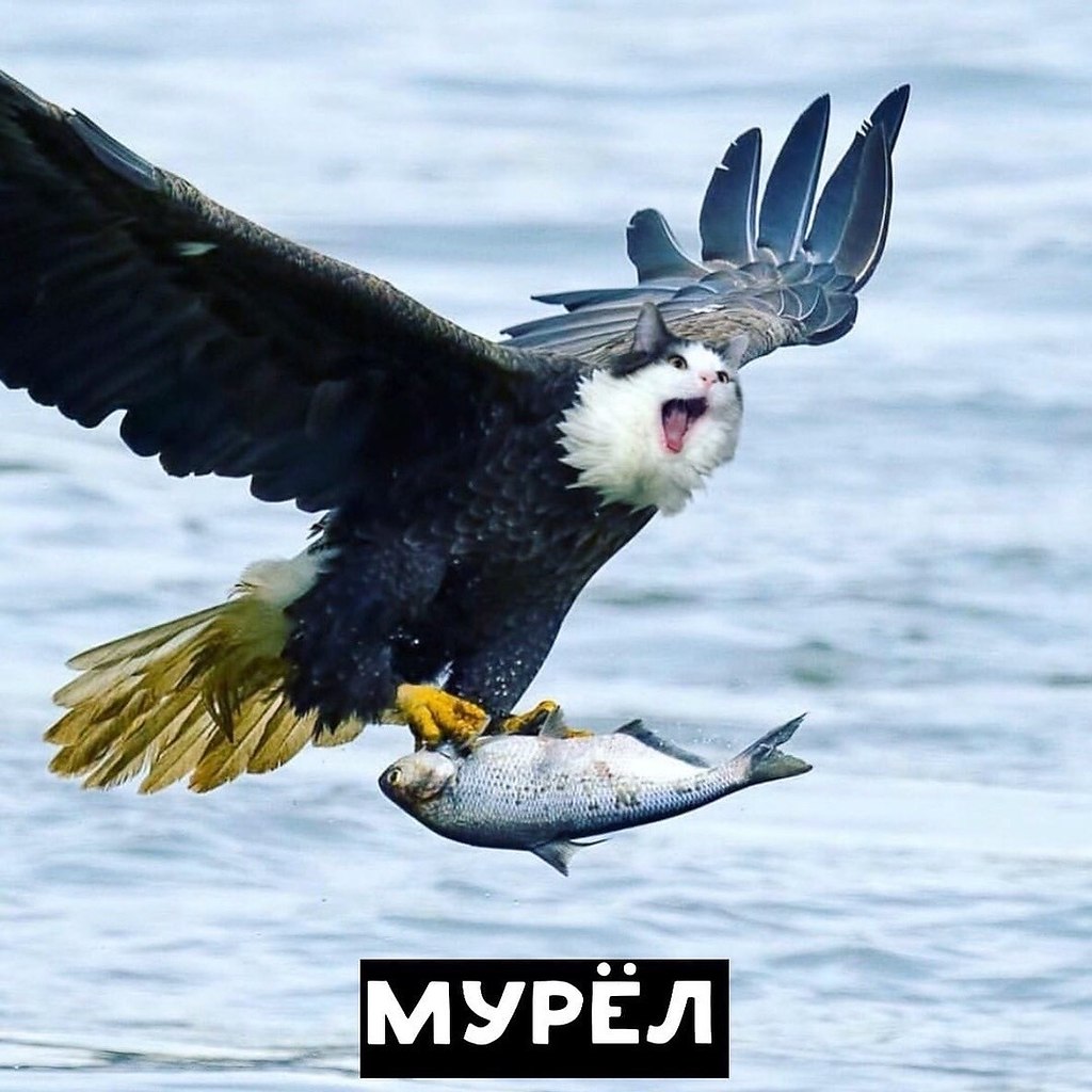     ?  ? - 8