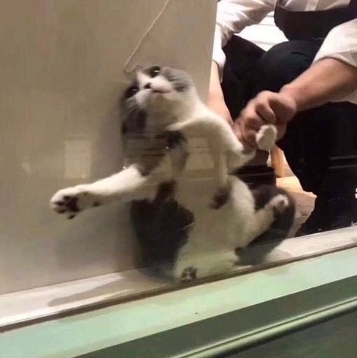 ��� � ������� �������� �� �������: - 4