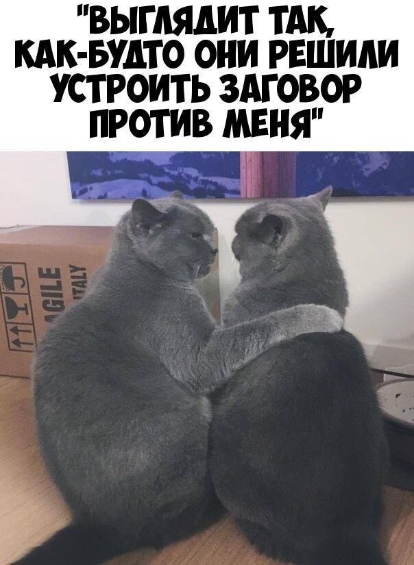    :D - 16  2019  03:39