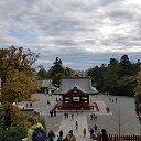 ���� ������� �, ������� - ��������� 14 ������ 2019 � ������ ������, ������ 2019�