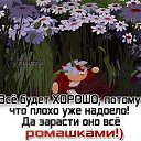 ���� �������, �����-���������, 64 ���� - ��������� 25 ���� 2019 � ������ ������ ��������