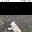 ���� ����������, ������, 46 ��� - ��������� 1 ��� 2019 � ������ ���� ����������